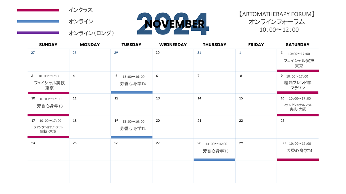 スケジュール　2024年11月